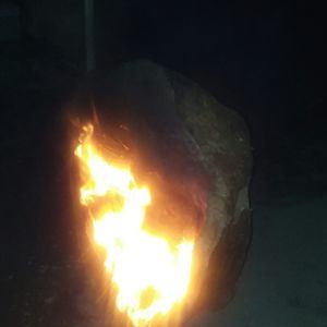 Meet your Posher, Casey